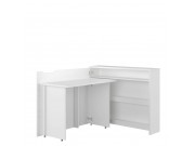 Schreibtisch Concept Work CW-01