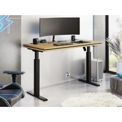 Miniaturbild von Höhenverstellbarer Schreibtisch Nandu I