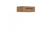 Hängeschrank Woodline 40 G-13 1S