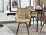 Polsterstuhl Dolior (2er-Set)