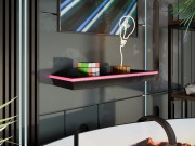 Wandregal Anolis mit LED-Beleuchtung