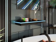 Wandregal Anolis mit LED-Beleuchtung