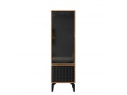 Vitrine Narala 54