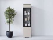 Glasvitrine Sawoti 002