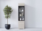 Glasvitrine Sawoti 002