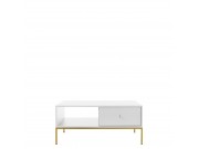 Couchtisch mit stauraum Tonkor Gold TL104