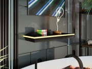 Wandregal Anolis mit LED-Beleuchtung