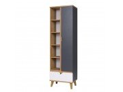 Regal Temero TM06 R1D1SZ