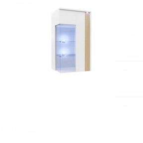 Hängevitrine Anrok 50/110 P AR07 Hängevitrine Anrok 50/110 P AR07