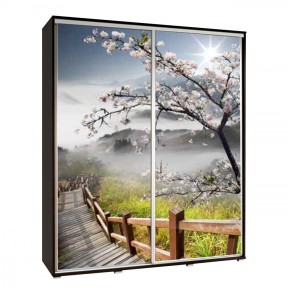 Kleiderschrank Lucca XI 155 Kleiderschrank Lucca XI 155