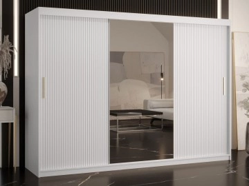 Kleiderschrank Towiro Slim 2 250