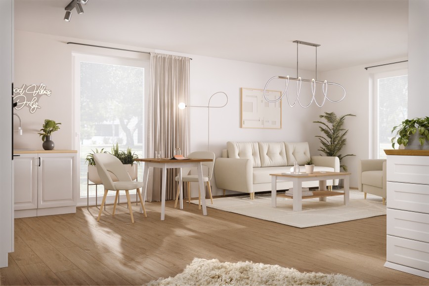 Minimalistische Einzimmerwohnung im skandinavischen Stil